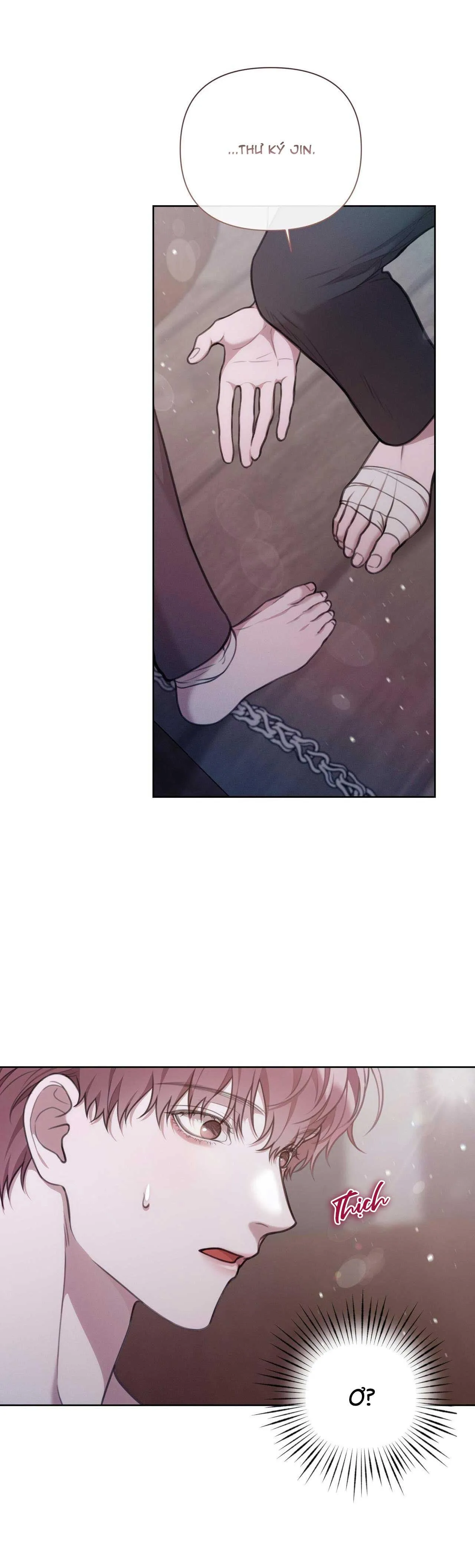 NHẬT KÝ GIAM CẦM THƯ KÝ JIN Chapter 29 Trang 17