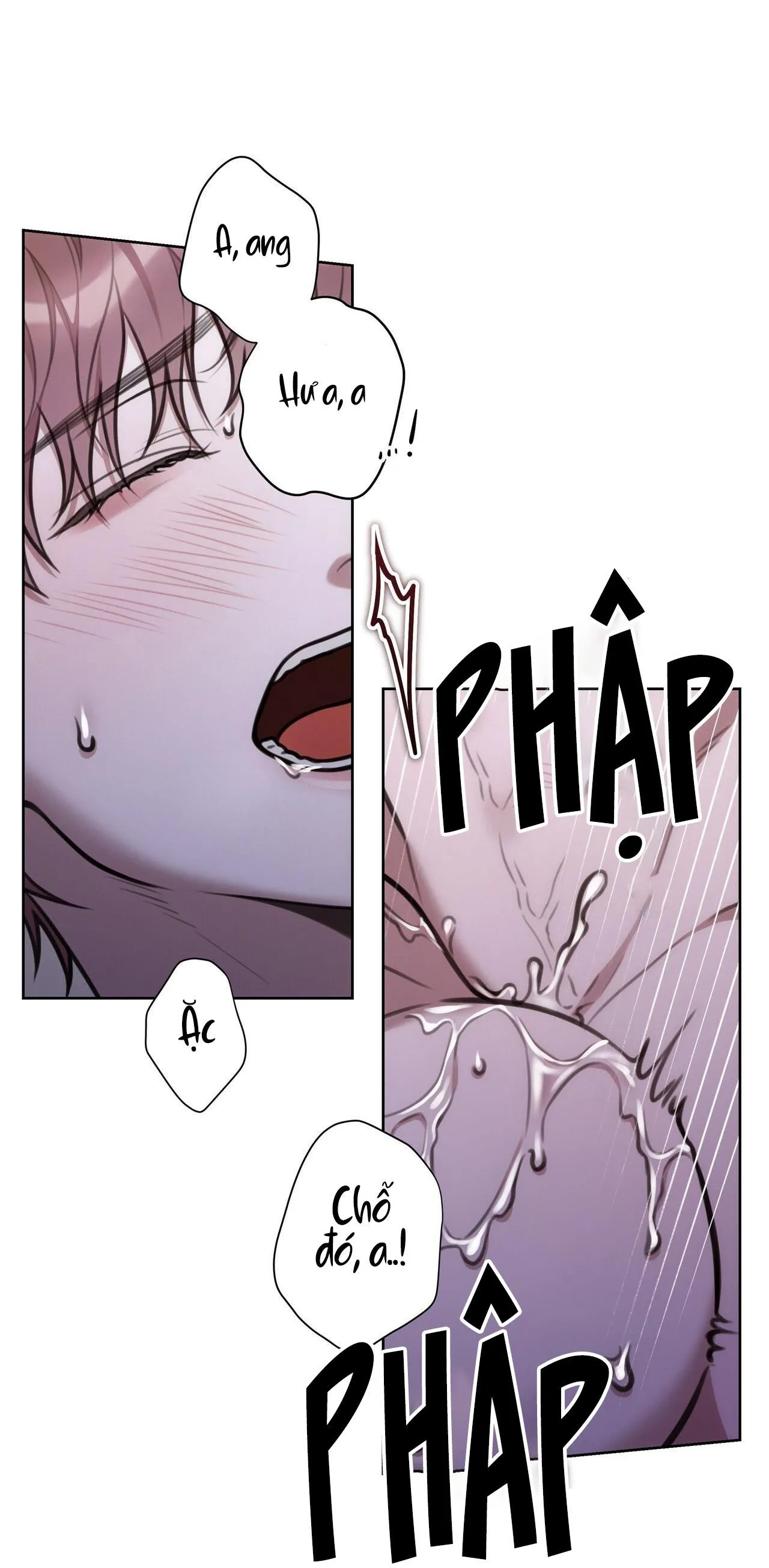 NHẬT KÝ GIAM CẦM THƯ KÝ JIN Chapter 37 Trang 17