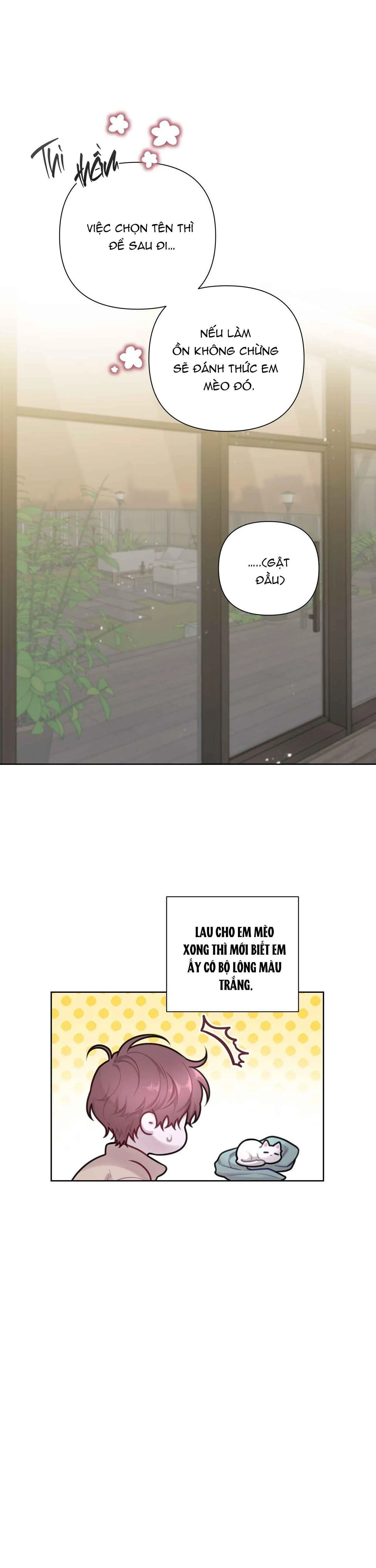 NHẬT KÝ GIAM CẦM THƯ KÝ JIN Chapter 49 Trang 11