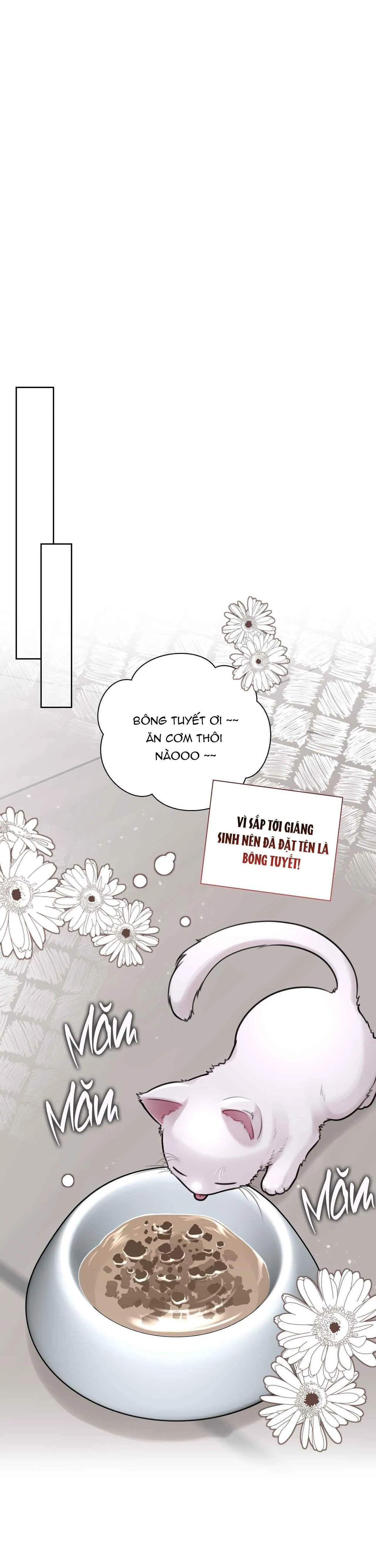 NHẬT KÝ GIAM CẦM THƯ KÝ JIN Chapter 49 Trang 12