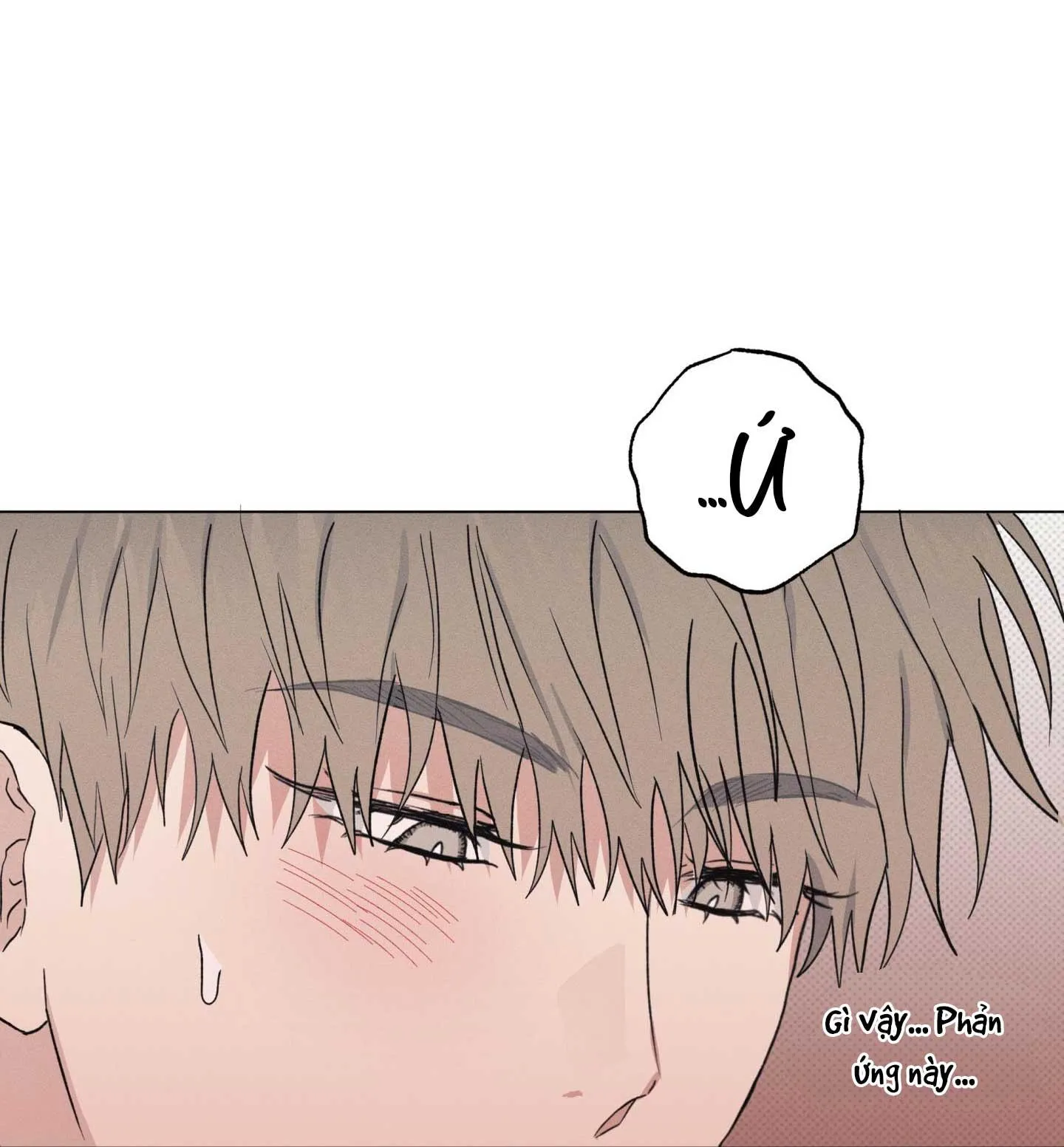 Nhật ký nuôi dưỡng sói hoang Chapter 2 Trang 10