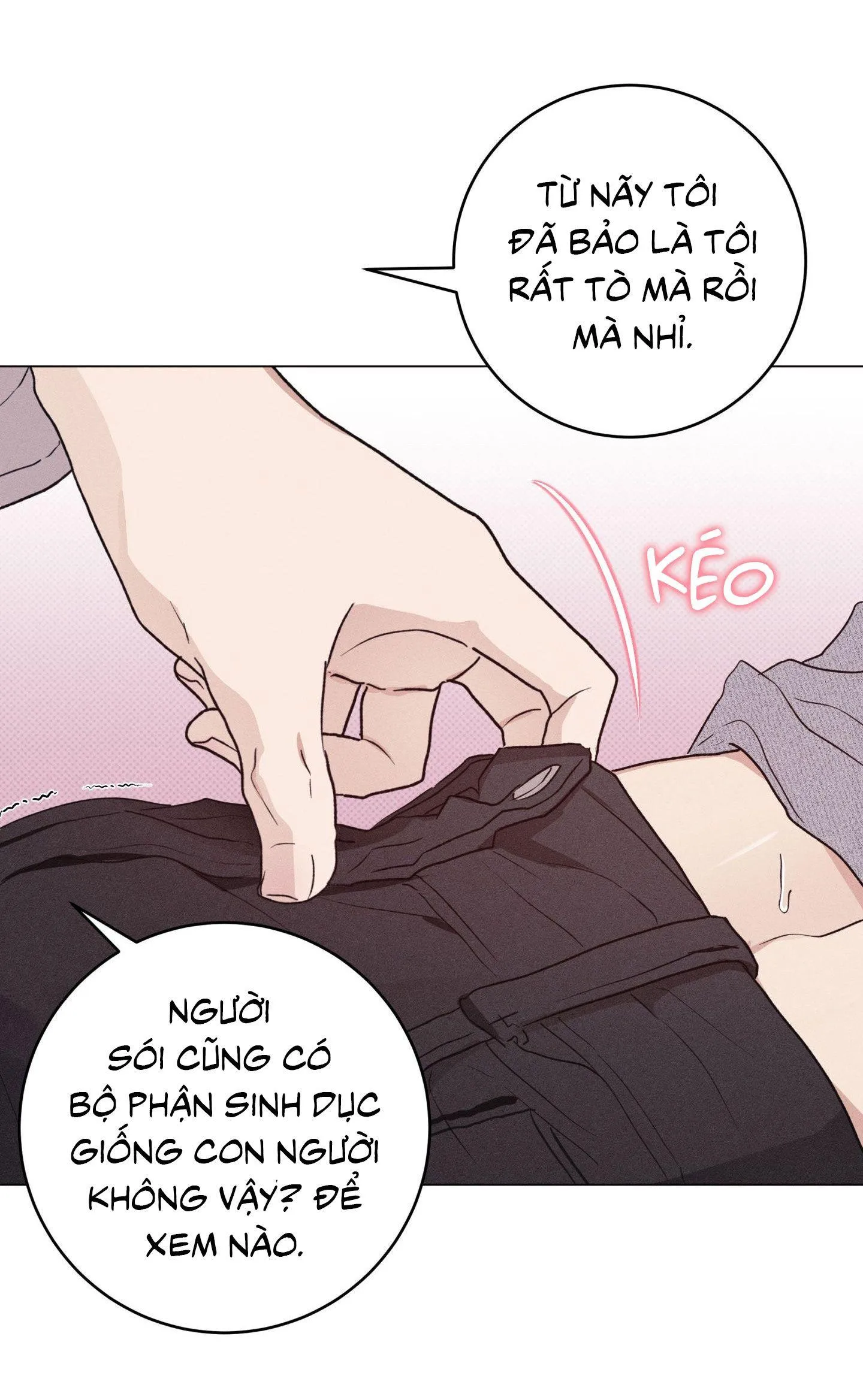 Nhật ký nuôi dưỡng sói hoang Chapter 3 Trang 9
