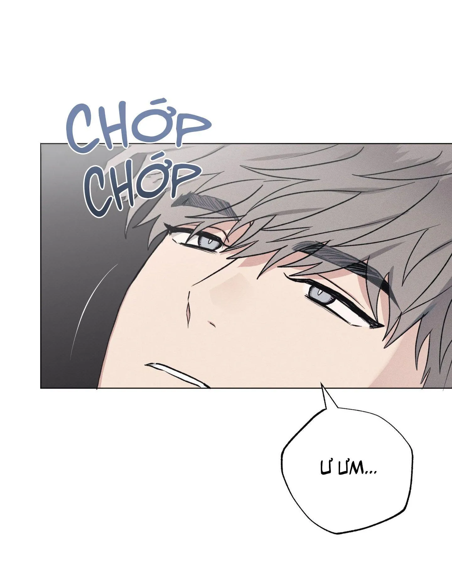 Nhật ký nuôi dưỡng sói hoang Chapter 9 Trang 8