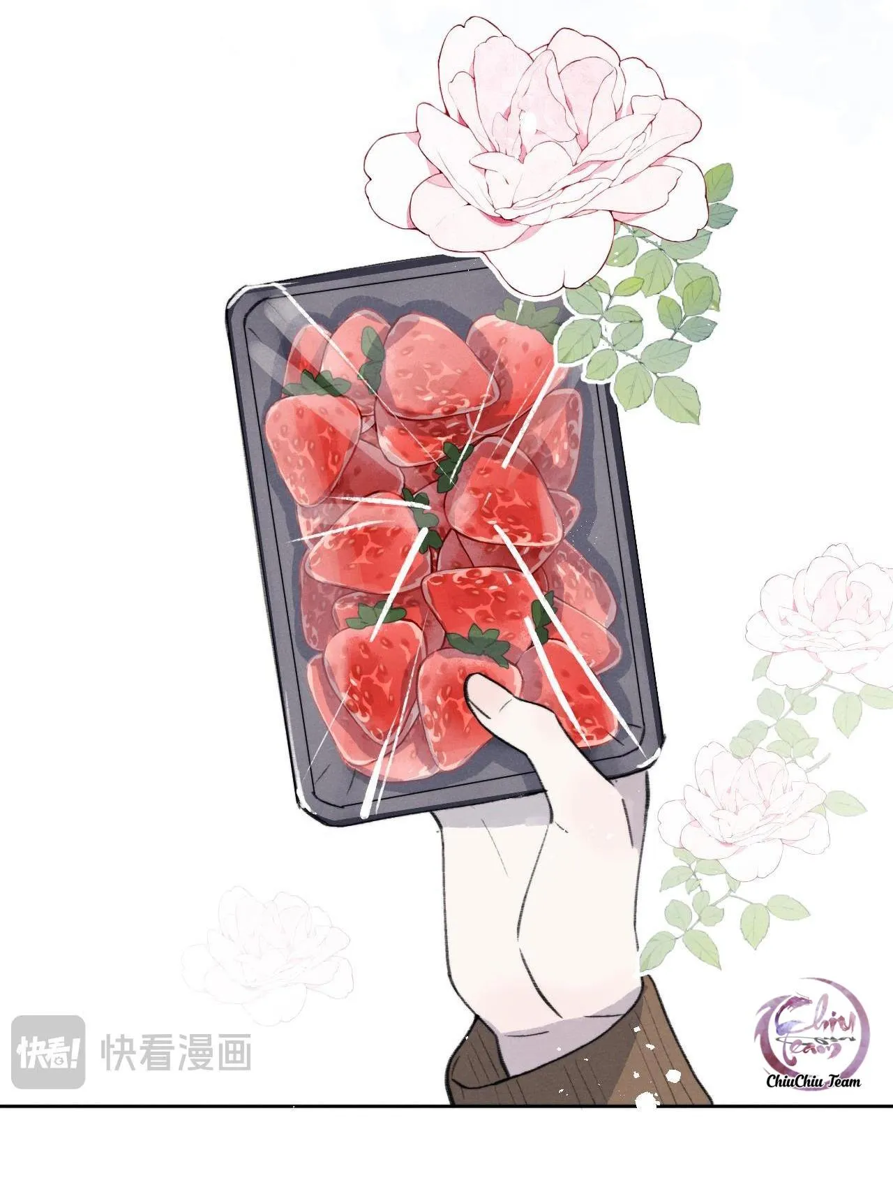 Nhật Ký Thất Tình Của Mr.Nhung Chapter 35 Trang 17