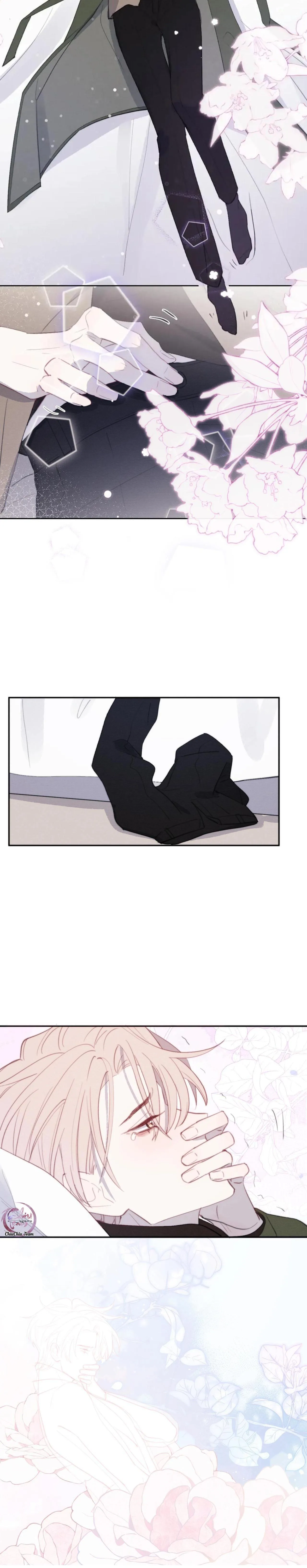 Nhật Ký Thất Tình Của Mr.Nhung Chapter 51 Trang 13