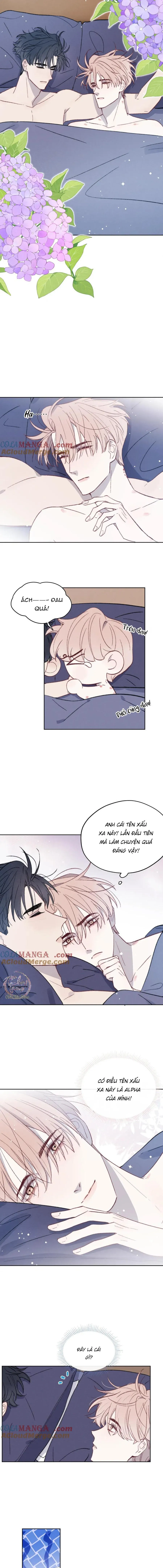 Nhật Ký Thất Tình Của Mr.Nhung Chapter 62 Trang 5