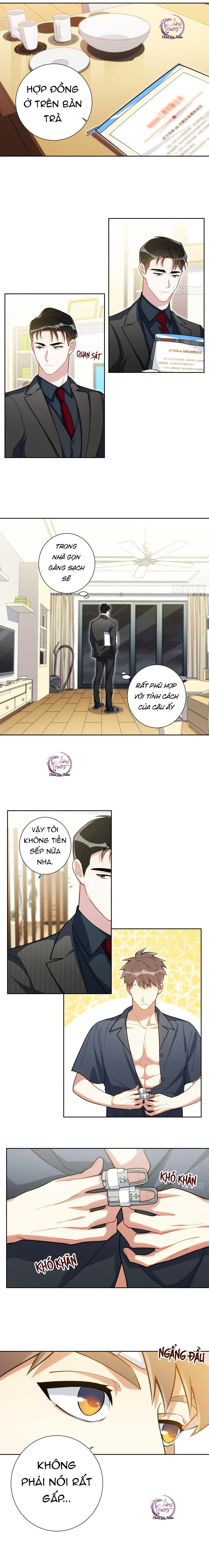 Nhiệm Vụ Của Thư Kí Nam Chapter 29 Trang 6