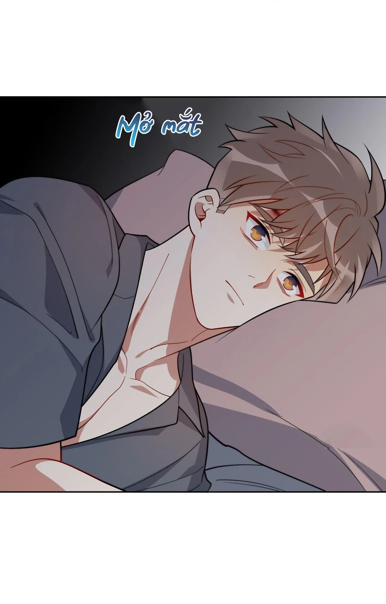 Nhiệm Vụ Của Thư Kí Nam Chapter 32 Trang 3