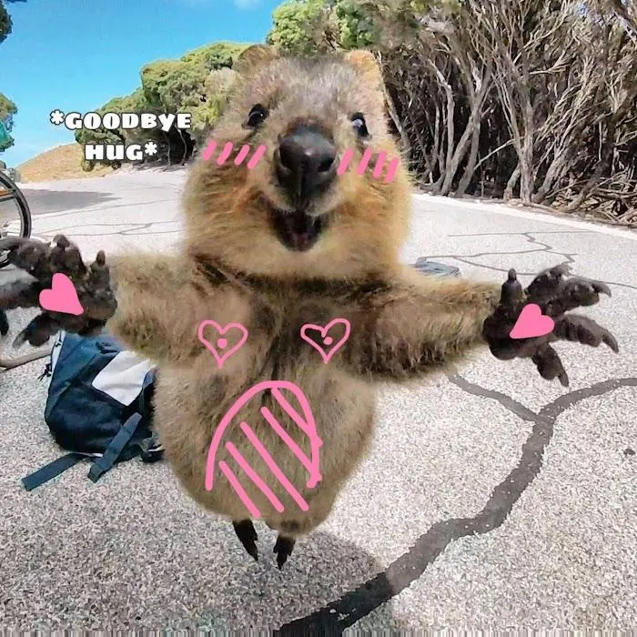 Nhiệm Vụ Tiềm Ẩn (NVTÂ) Chapter 16 Trang 16