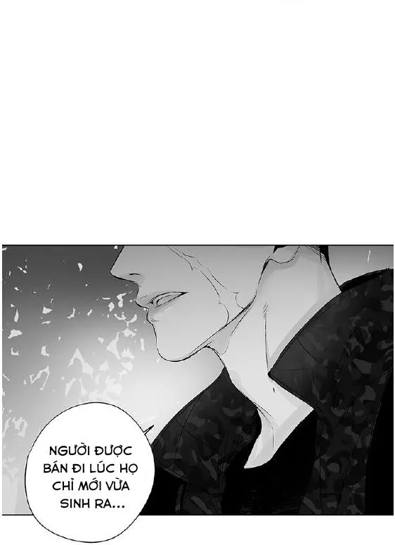 Nhiễu sóng Chapter 15 Trang 21