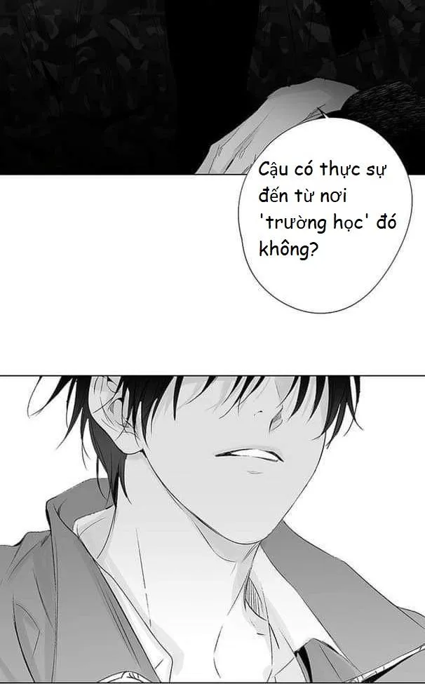 Nhiễu sóng Chapter 16 Trang 31