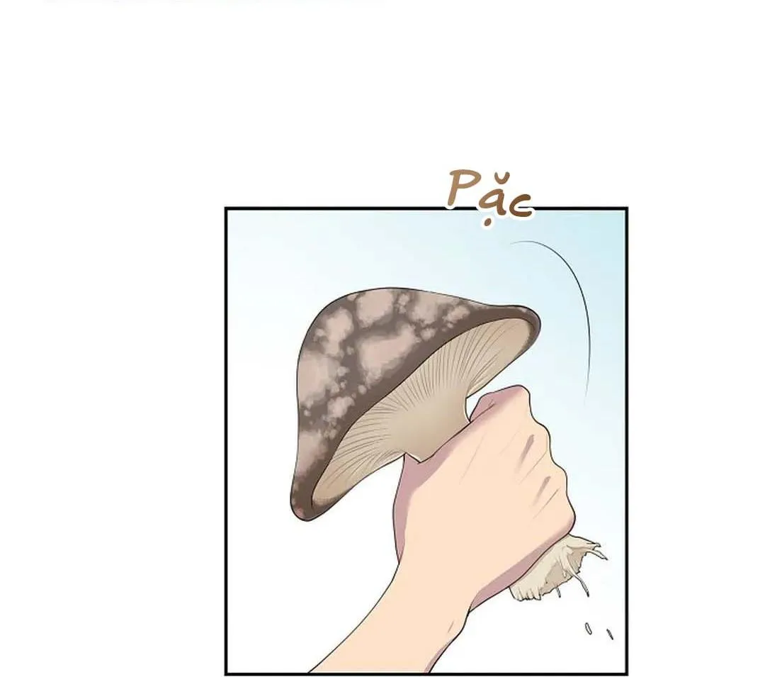 NHÌN LẠI NGỌN LỬA ĐÃ TẮT Chapter 3 Trang 66