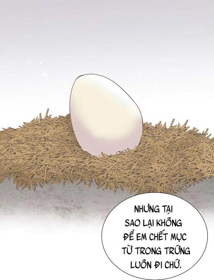 NHÌN LẠI NGỌN LỬA ĐÃ TẮT Chapter 1 Trang 17