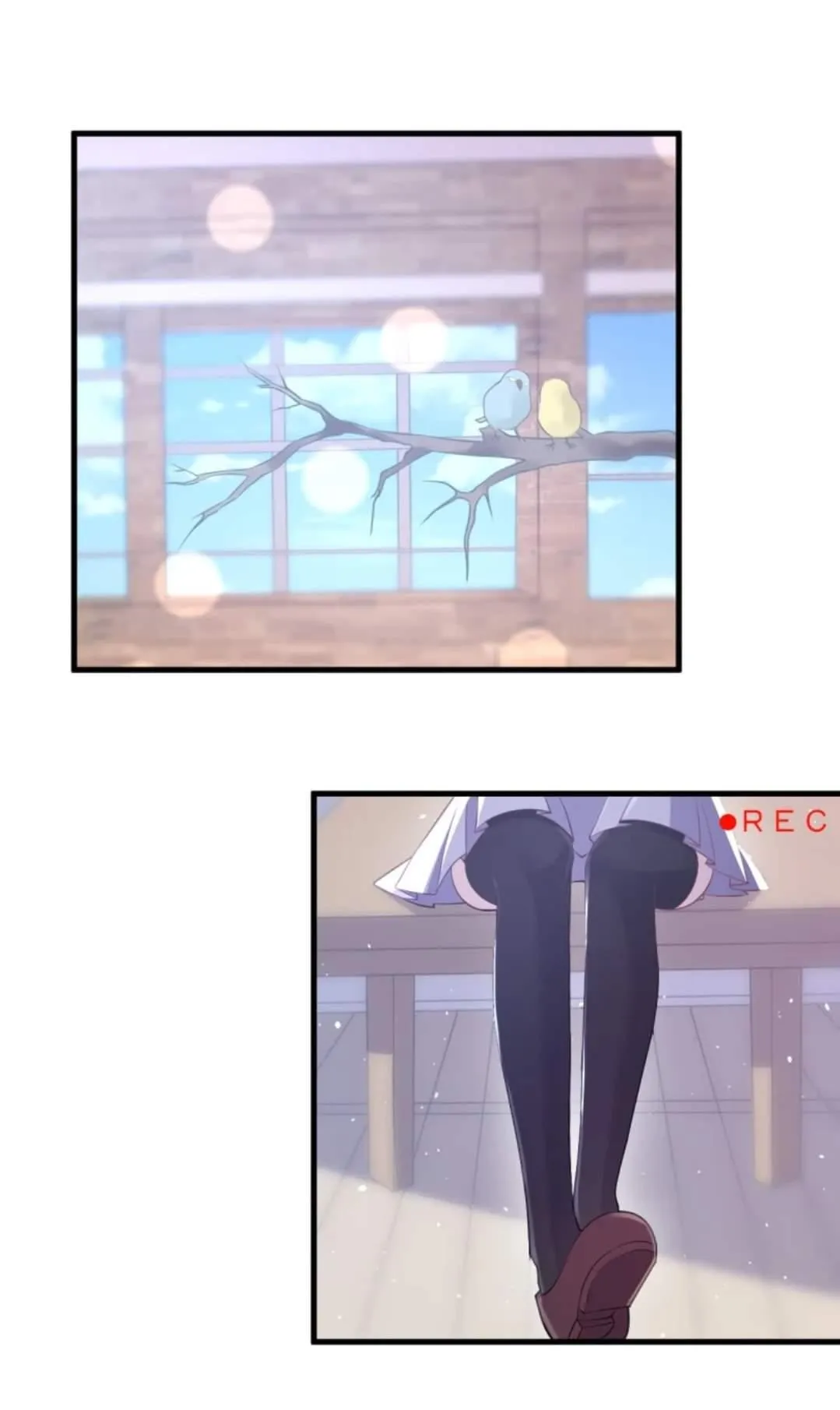 Nhìn thấy tia sáng một lần nữa Chapter 3 Trang 13