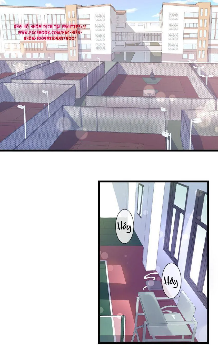 Nhìn thấy tia sáng một lần nữa Chapter 1 Trang 3