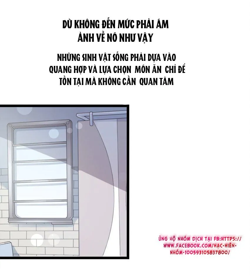 Nhìn thấy tia sáng một lần nữa Chapter 1 Trang 11