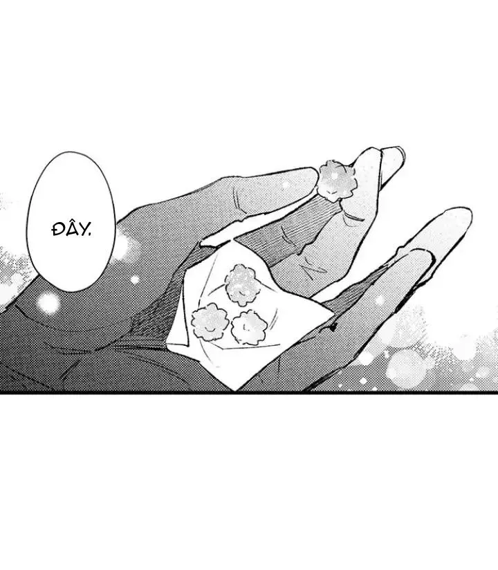 Nhìn vào đóa hoa của bình minh Chapter 2 Trang 5