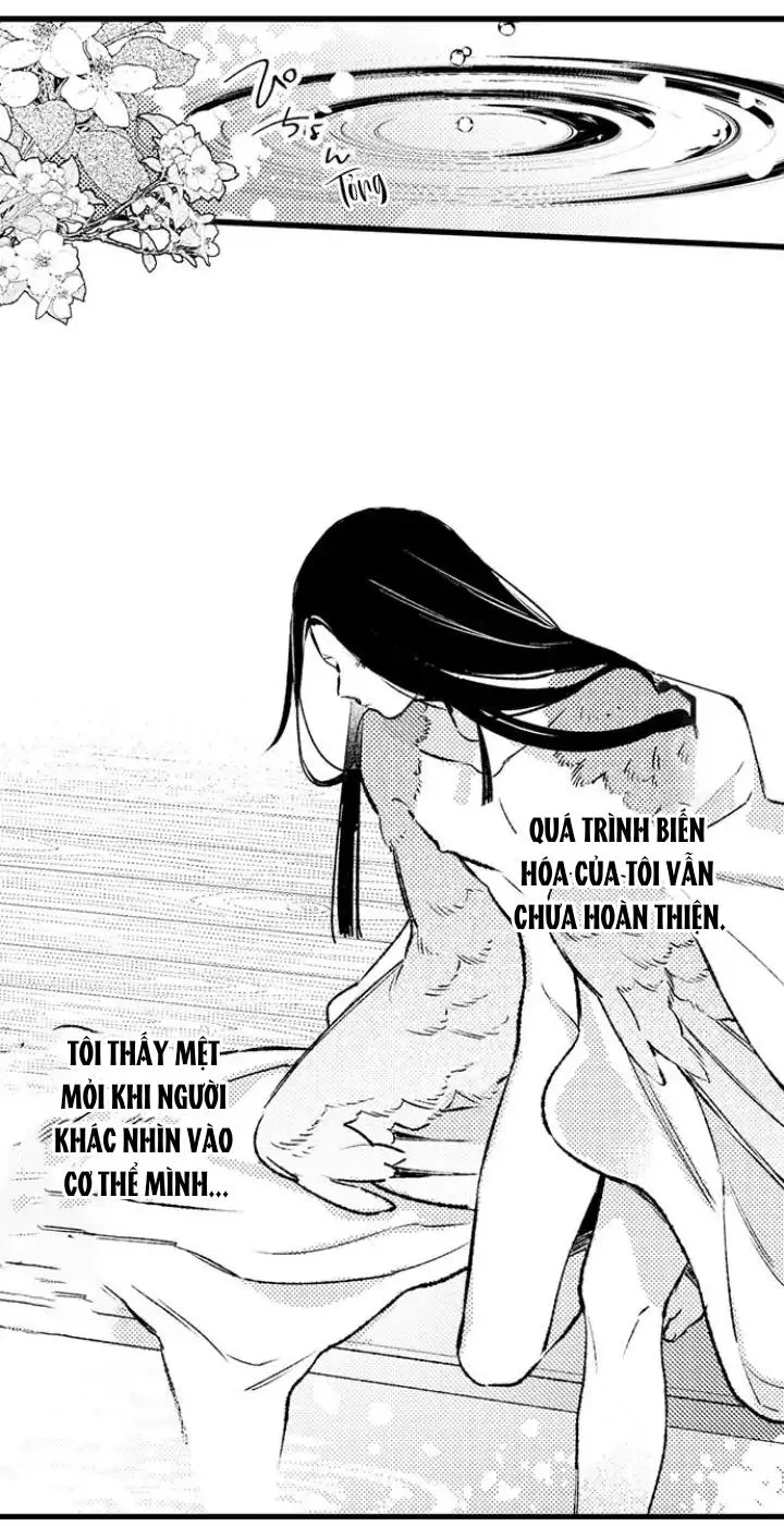 Nhìn vào đóa hoa của bình minh Chapter 2 Trang 22