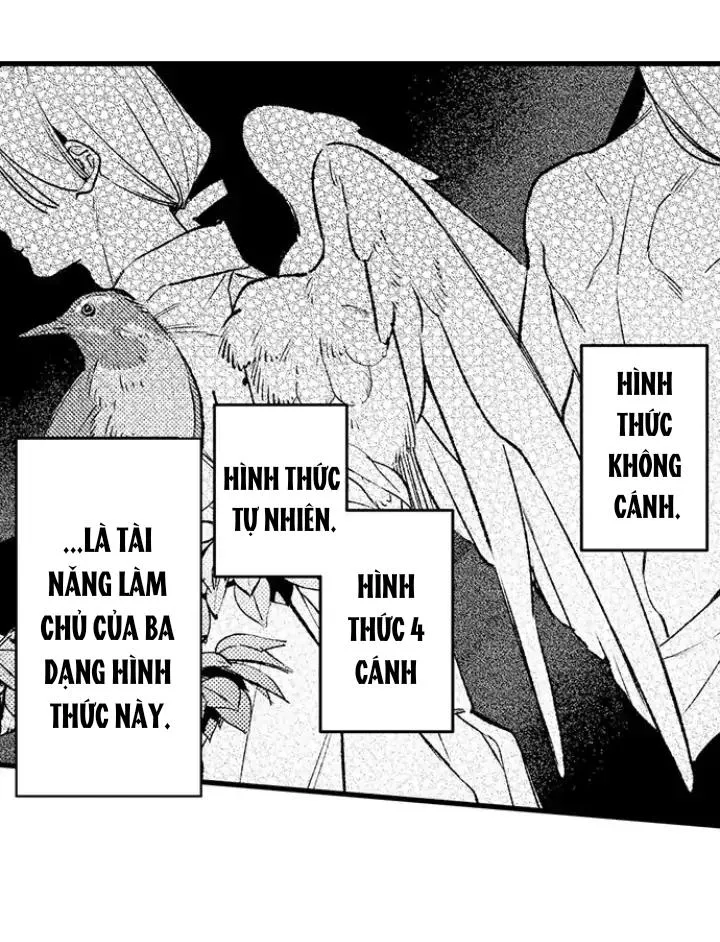 Nhìn vào đóa hoa của bình minh Chapter 2 Trang 25