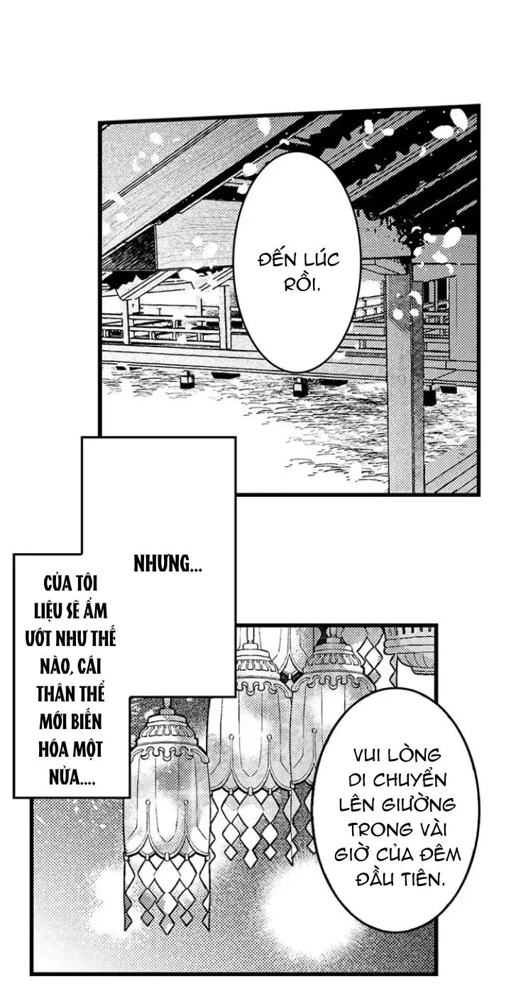 Nhìn vào đóa hoa của bình minh Chapter 3 Trang 5