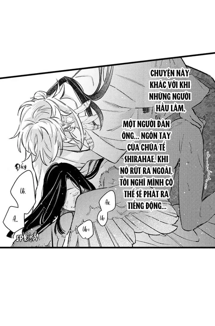 Nhìn vào đóa hoa của bình minh Chapter 3 Trang 17