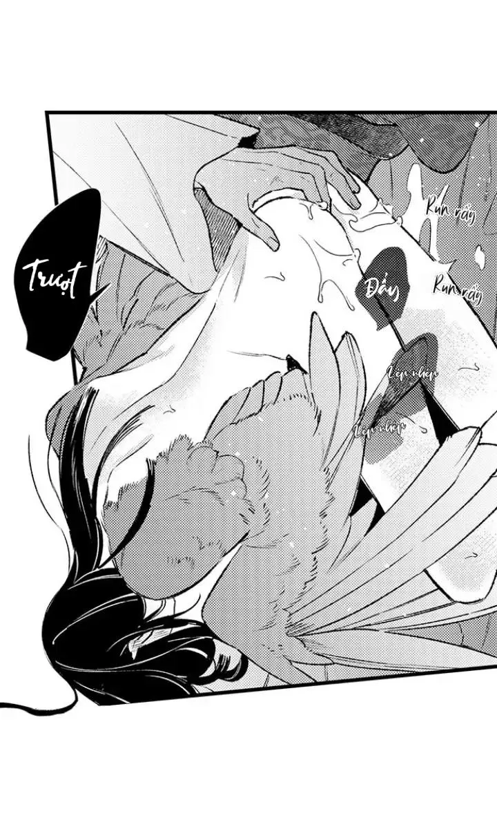 Nhìn vào đóa hoa của bình minh Chapter 3 Trang 20