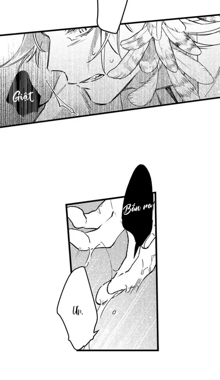 Nhìn vào đóa hoa của bình minh Chapter 3 Trang 22