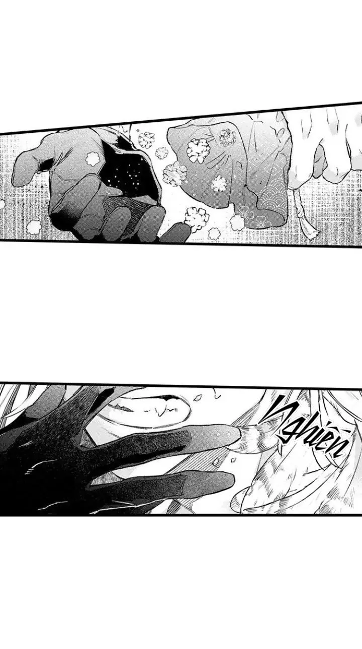 Nhìn vào đóa hoa của bình minh Chapter 4 Trang 4