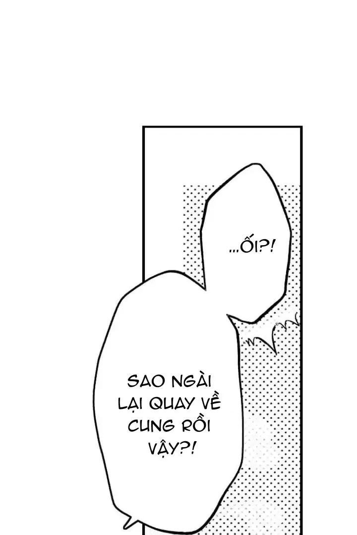 Nhìn vào đóa hoa của bình minh Chapter 4 Trang 7