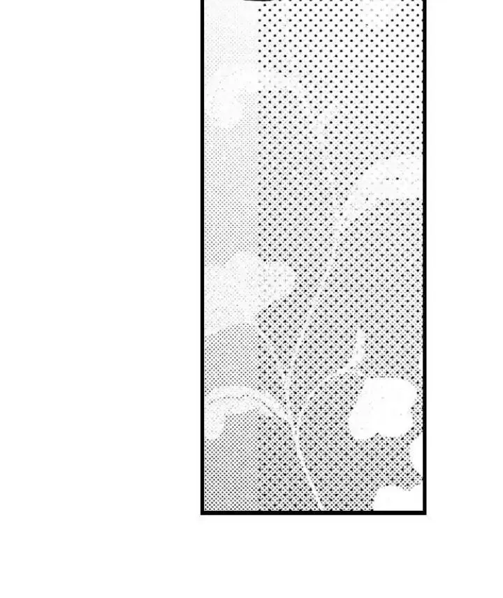 Nhìn vào đóa hoa của bình minh Chapter 4 Trang 8