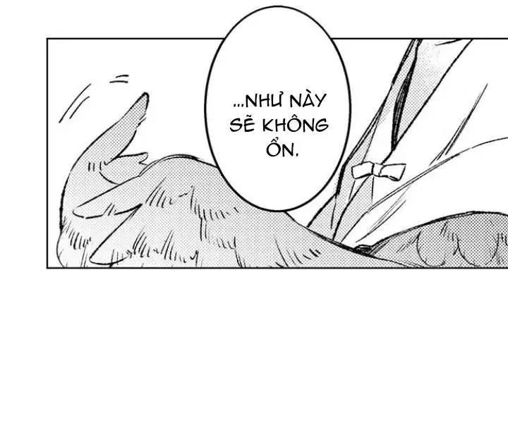 Nhìn vào đóa hoa của bình minh Chapter 1 Trang 11