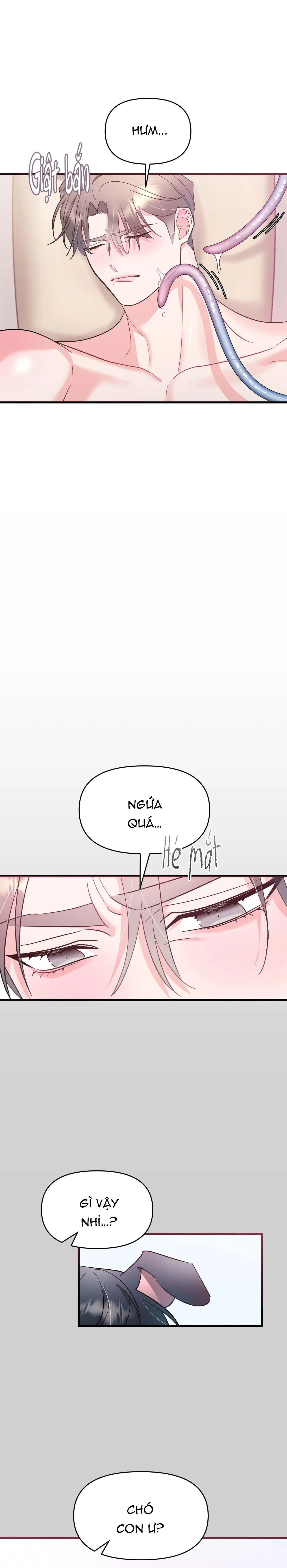 NHỊP ĐẬP Chapter 14 Trang 8