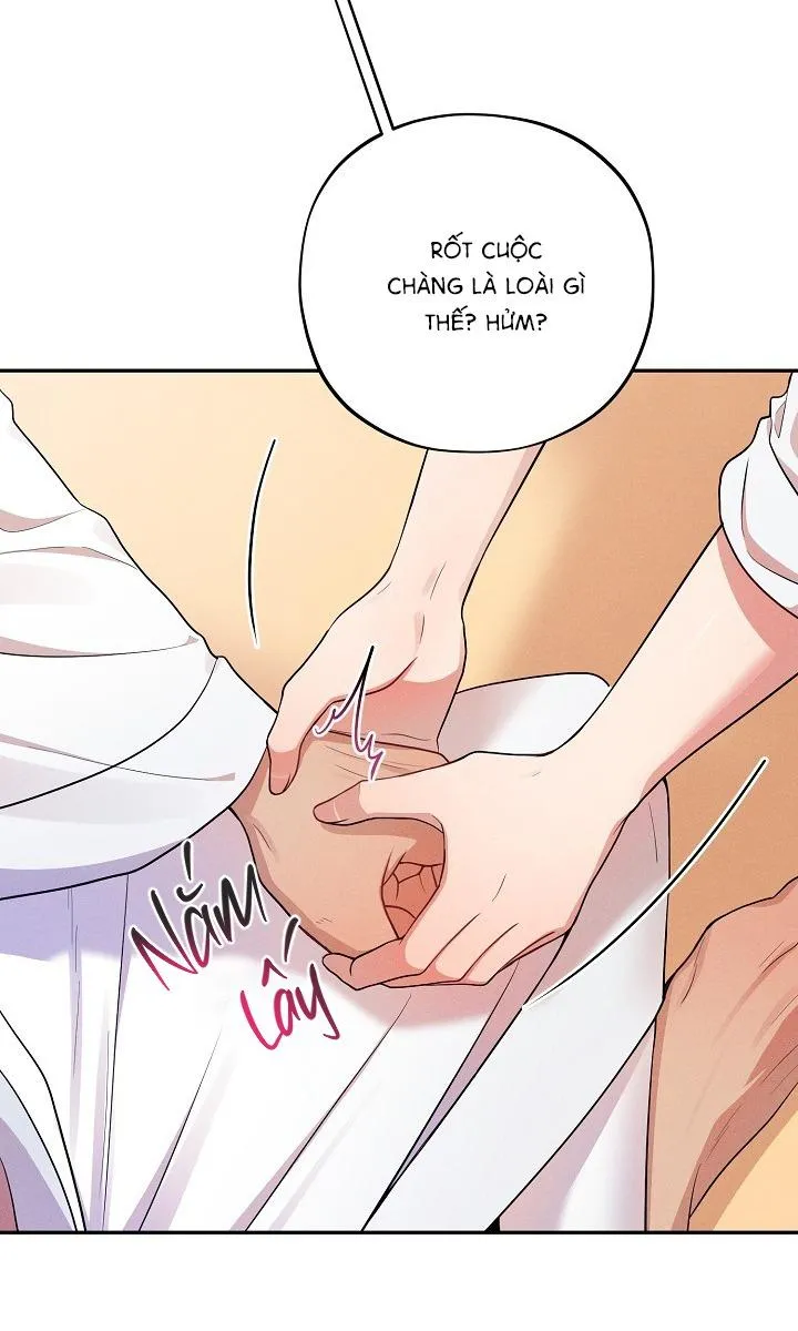 Nhỏ chút cũng không sao đâu! Chapter 2 Trang 22