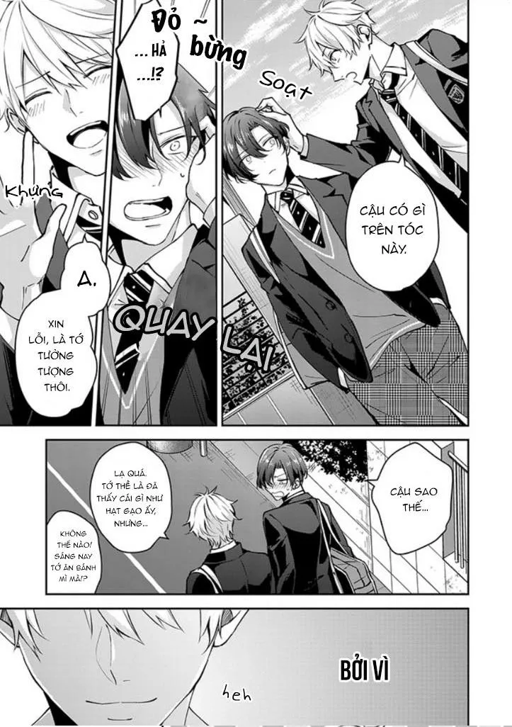 Những Chàng Trai Hai Mặt Chapter 6 Trang 6