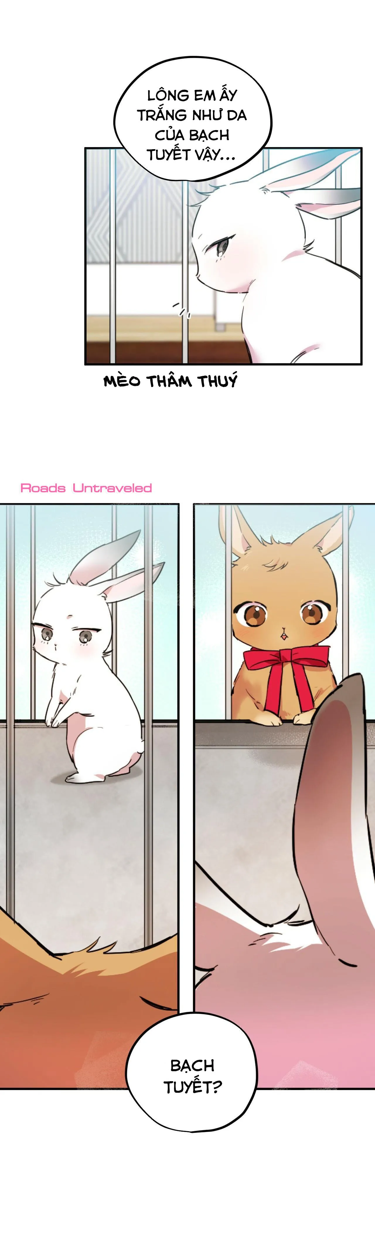 NHỮNG CHÚ THỎ CỦA HABIBI Chapter 2 Trang 17