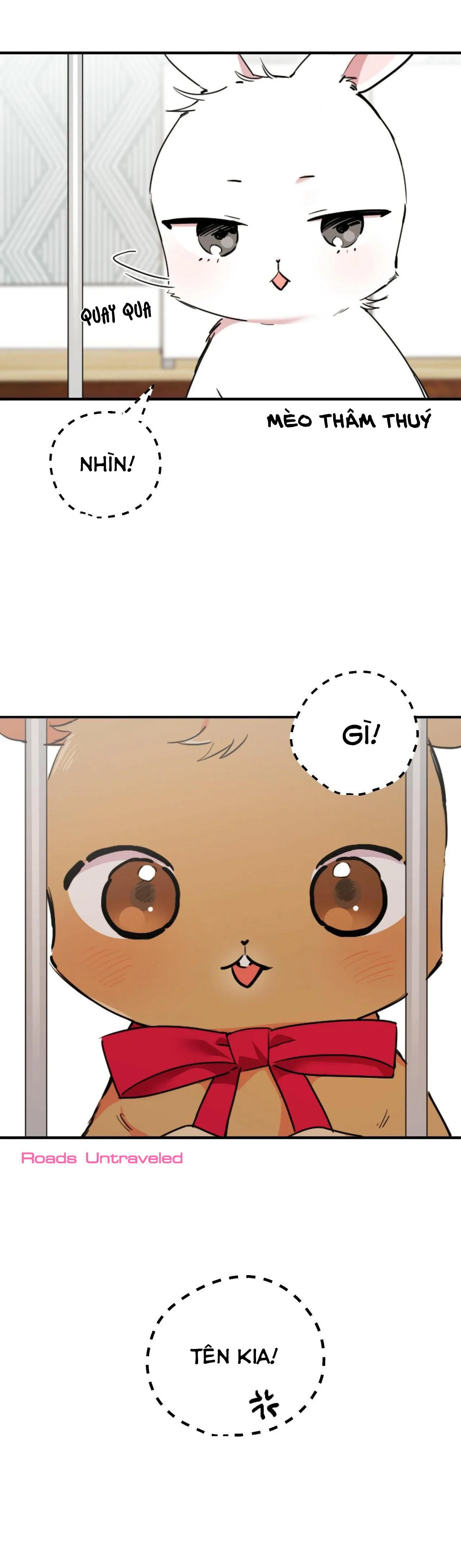 NHỮNG CHÚ THỎ CỦA HABIBI Chapter 2 Trang 18