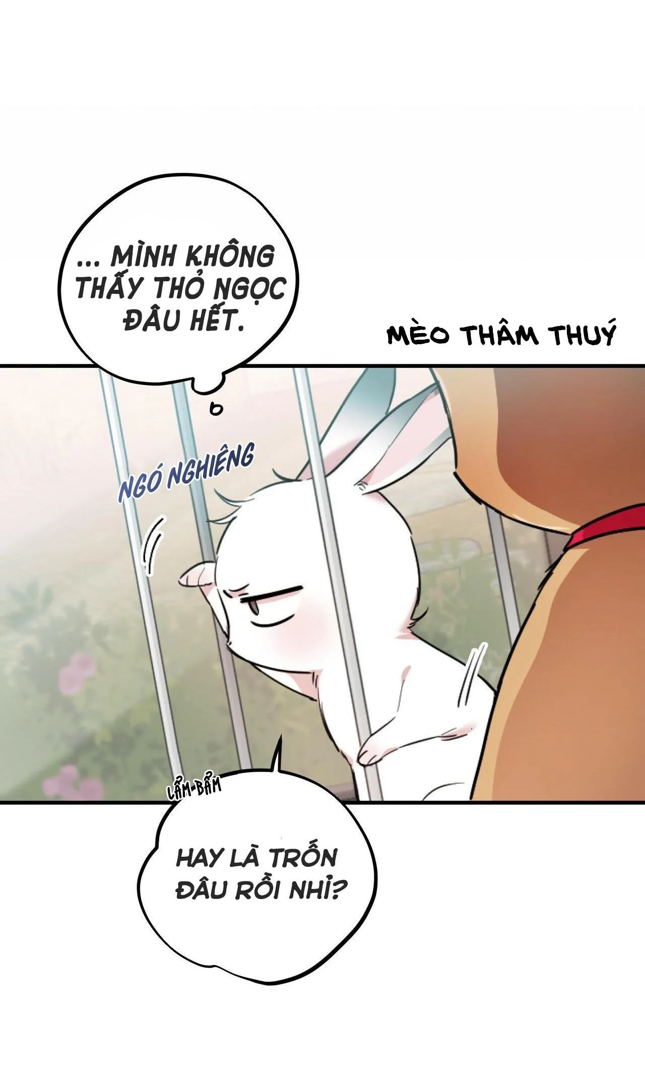 NHỮNG CHÚ THỎ CỦA HABIBI Chapter 2 Trang 35