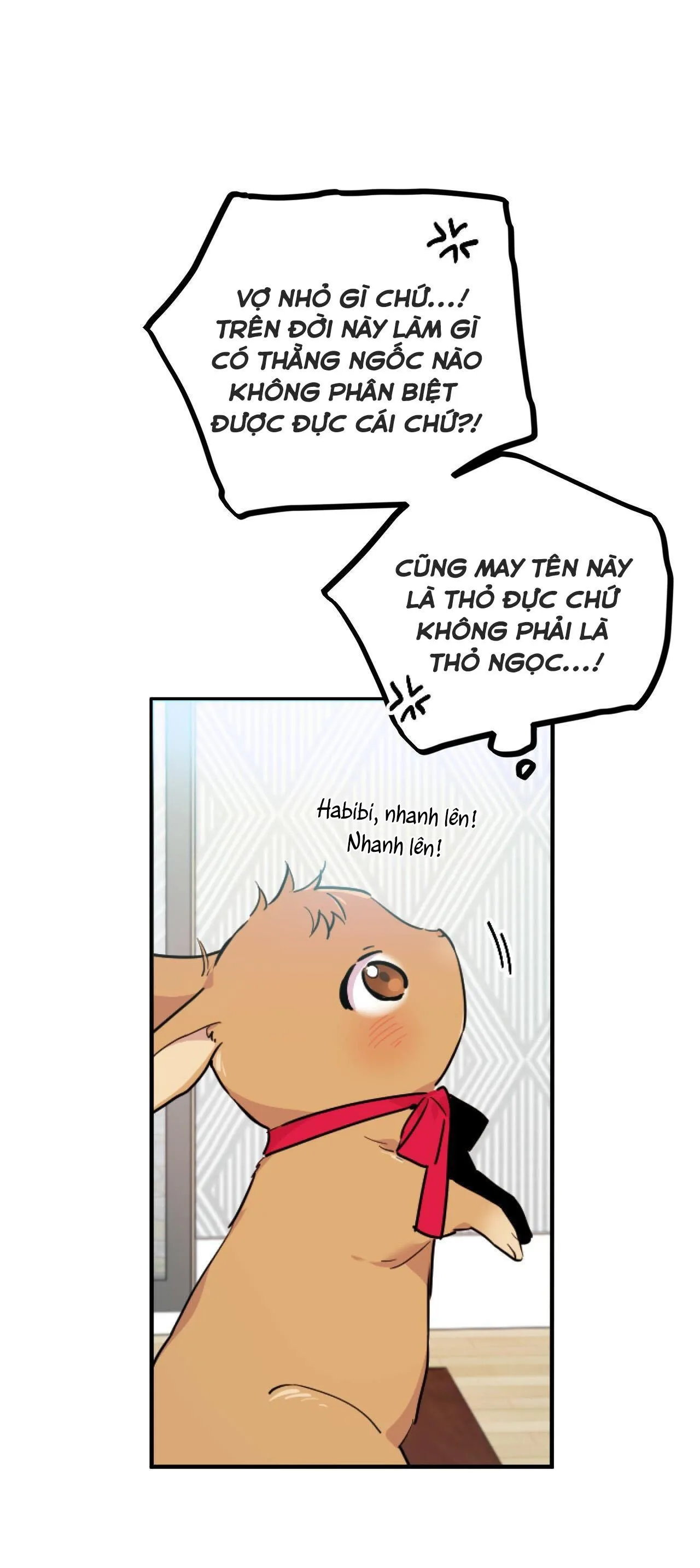 NHỮNG CHÚ THỎ CỦA HABIBI Chapter 2 Trang 39