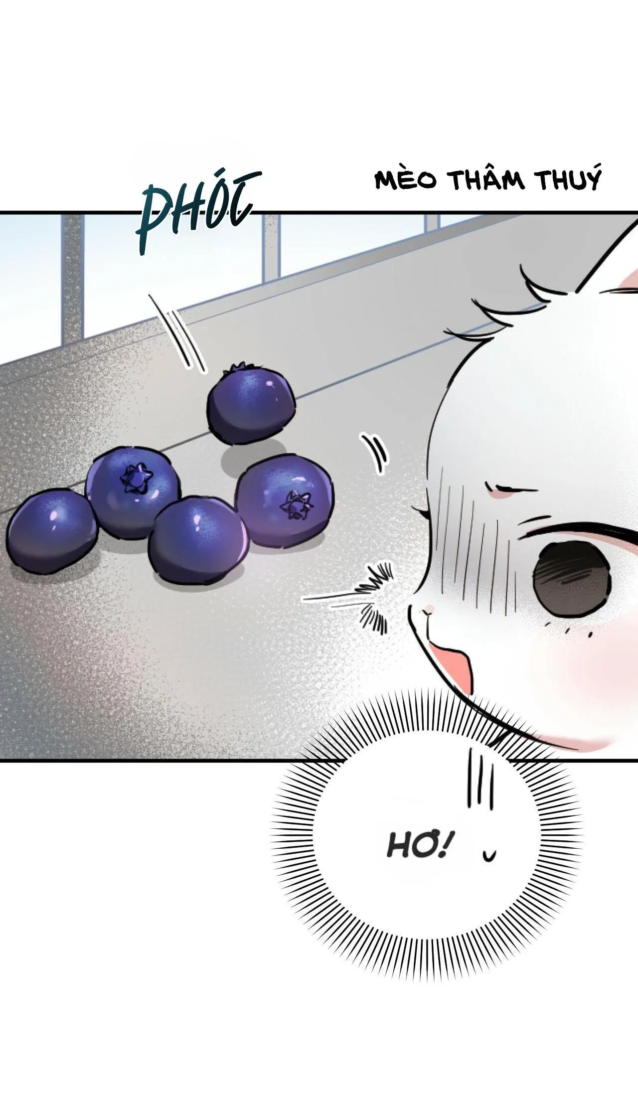 NHỮNG CHÚ THỎ CỦA HABIBI Chapter 2 Trang 43