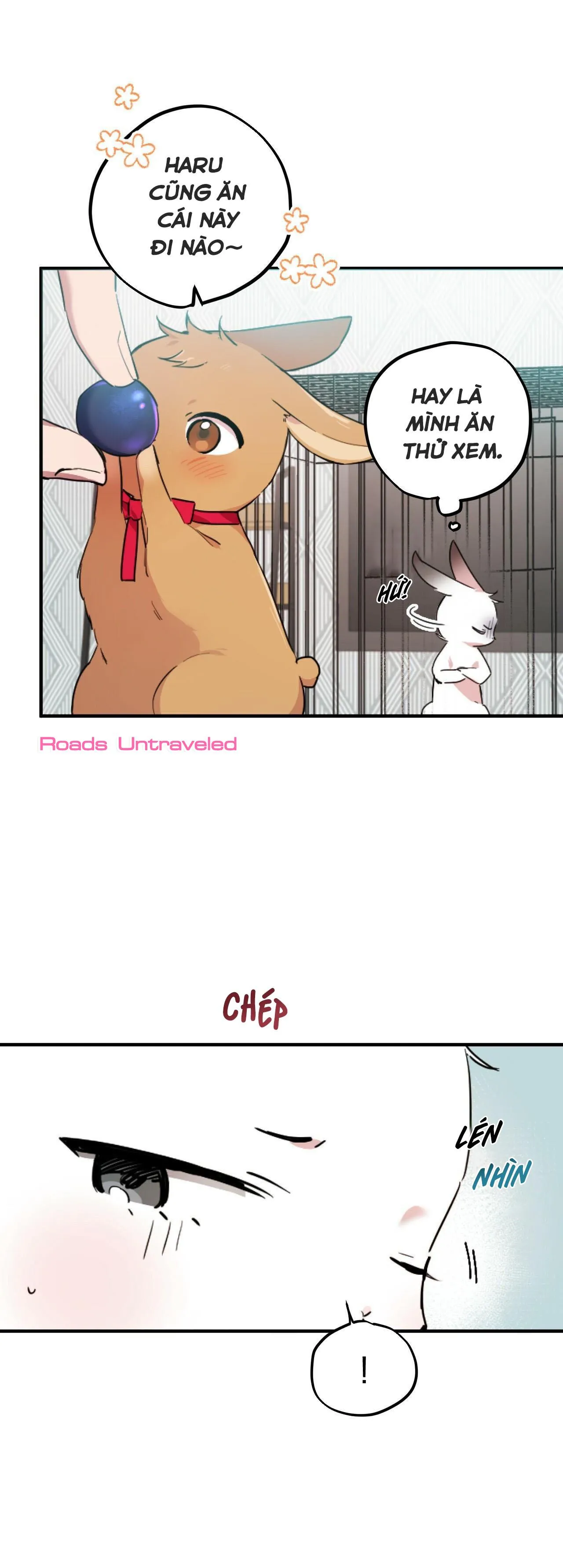 NHỮNG CHÚ THỎ CỦA HABIBI Chapter 2 Trang 47