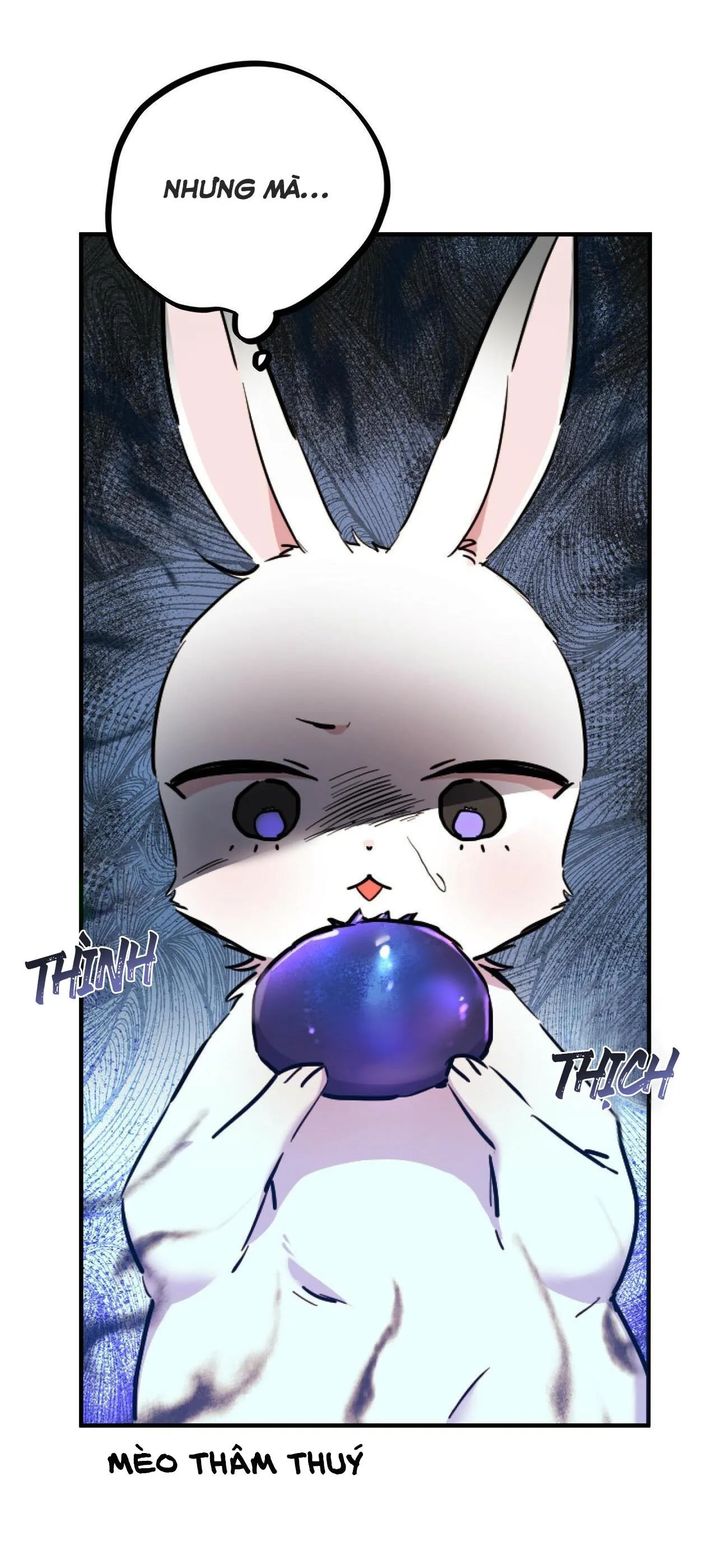 NHỮNG CHÚ THỎ CỦA HABIBI Chapter 2 Trang 52