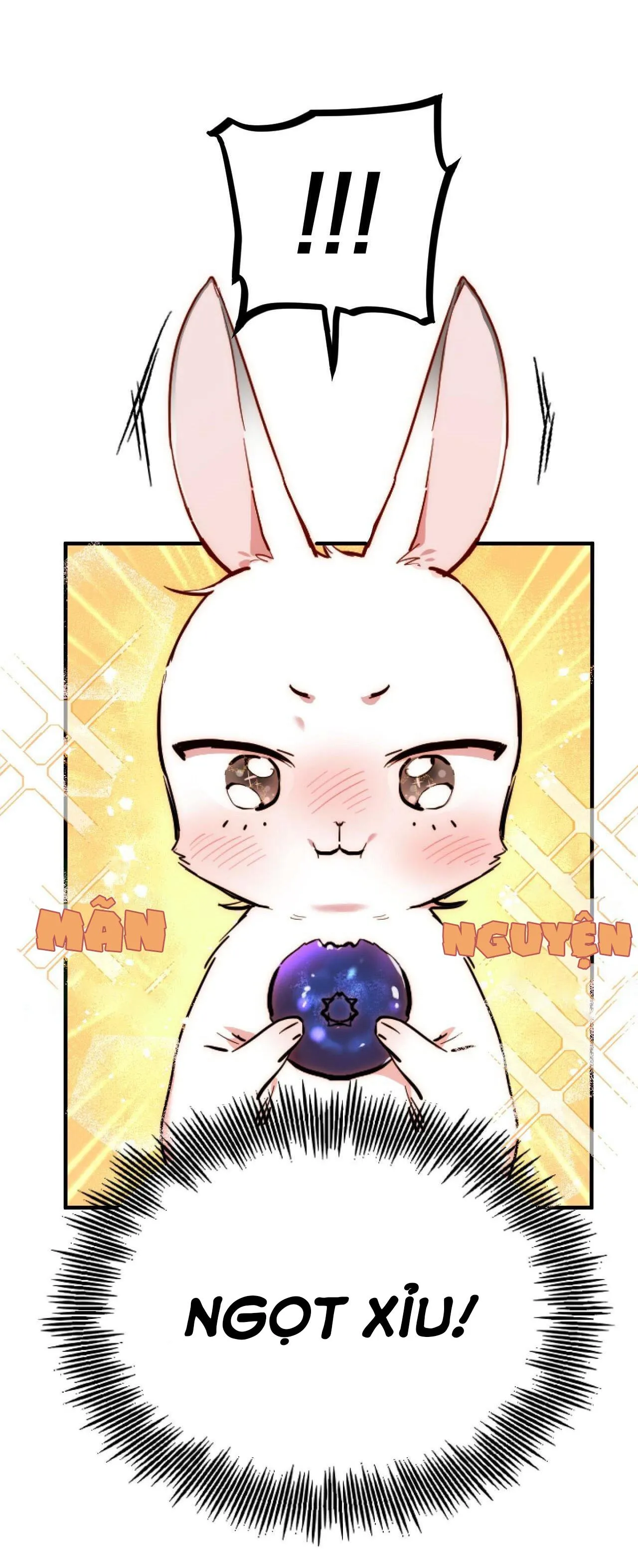 NHỮNG CHÚ THỎ CỦA HABIBI Chapter 2 Trang 54