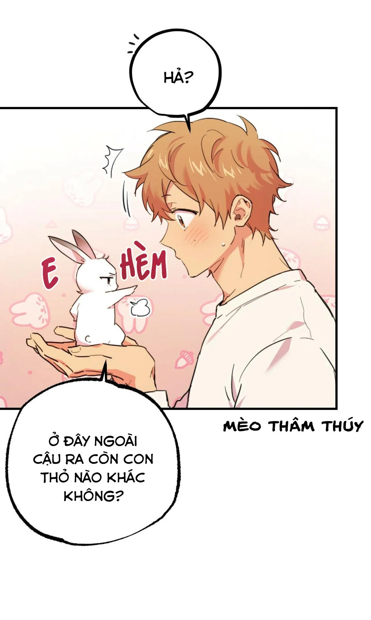 NHỮNG CHÚ THỎ CỦA HABIBI Chapter 3 Trang 10