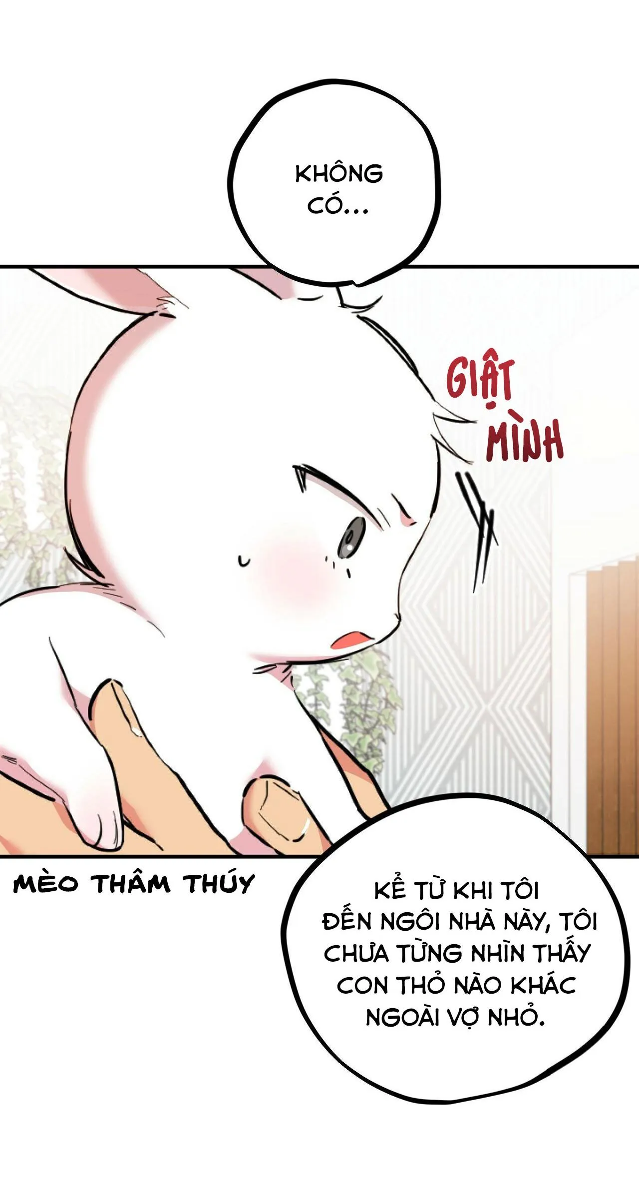 NHỮNG CHÚ THỎ CỦA HABIBI Chapter 3 Trang 15