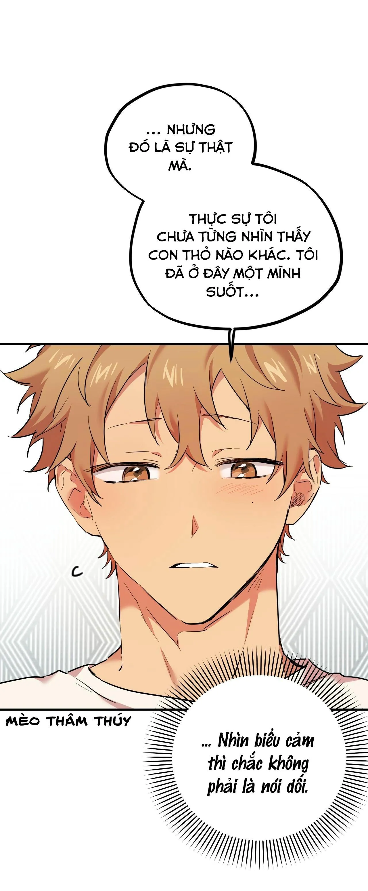 NHỮNG CHÚ THỎ CỦA HABIBI Chapter 3 Trang 19