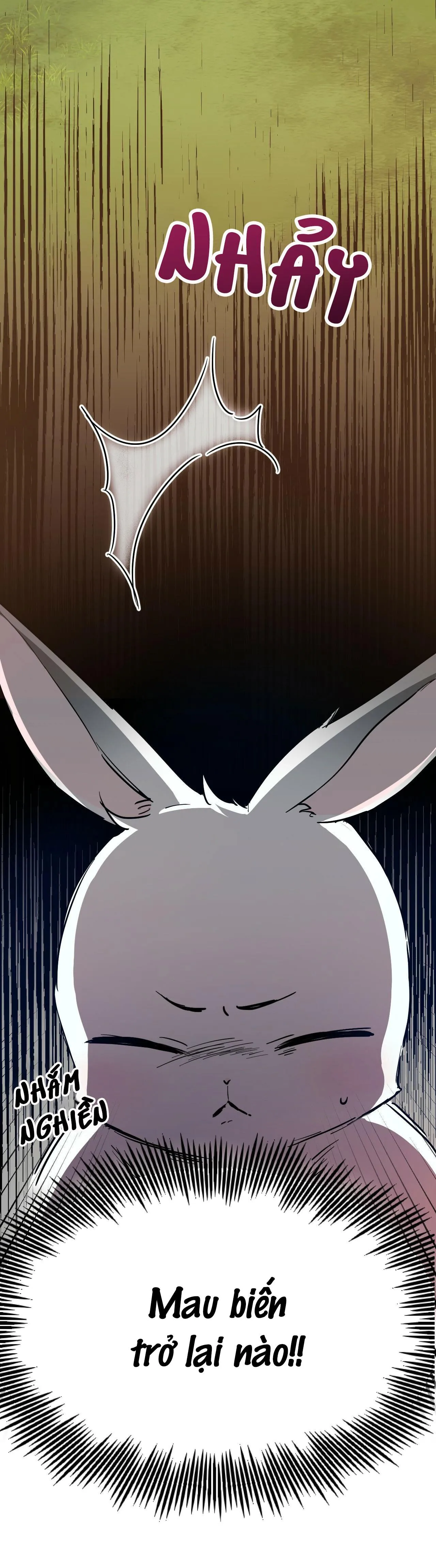 NHỮNG CHÚ THỎ CỦA HABIBI Chapter 3 Trang 25