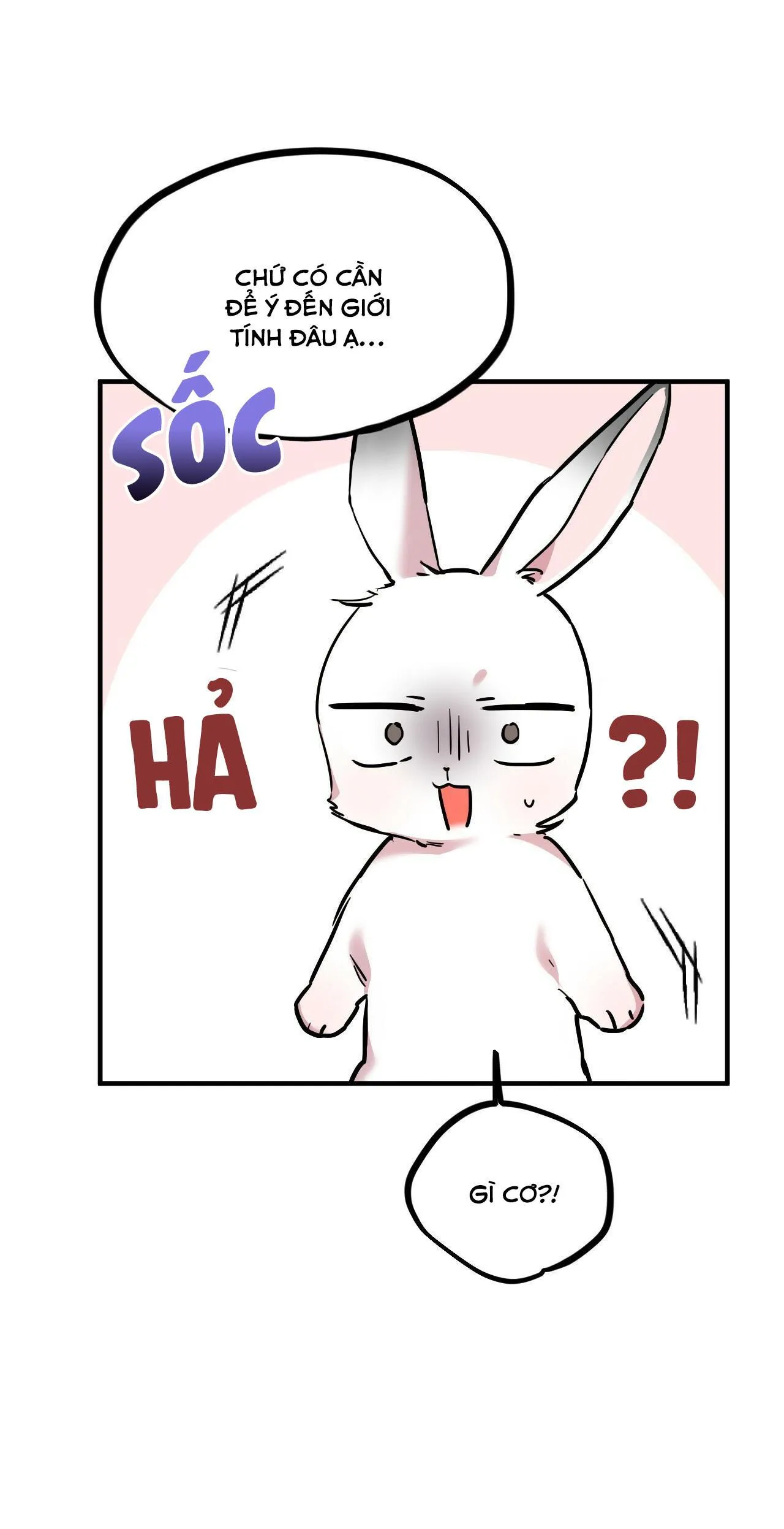 NHỮNG CHÚ THỎ CỦA HABIBI Chapter 3 Trang 46