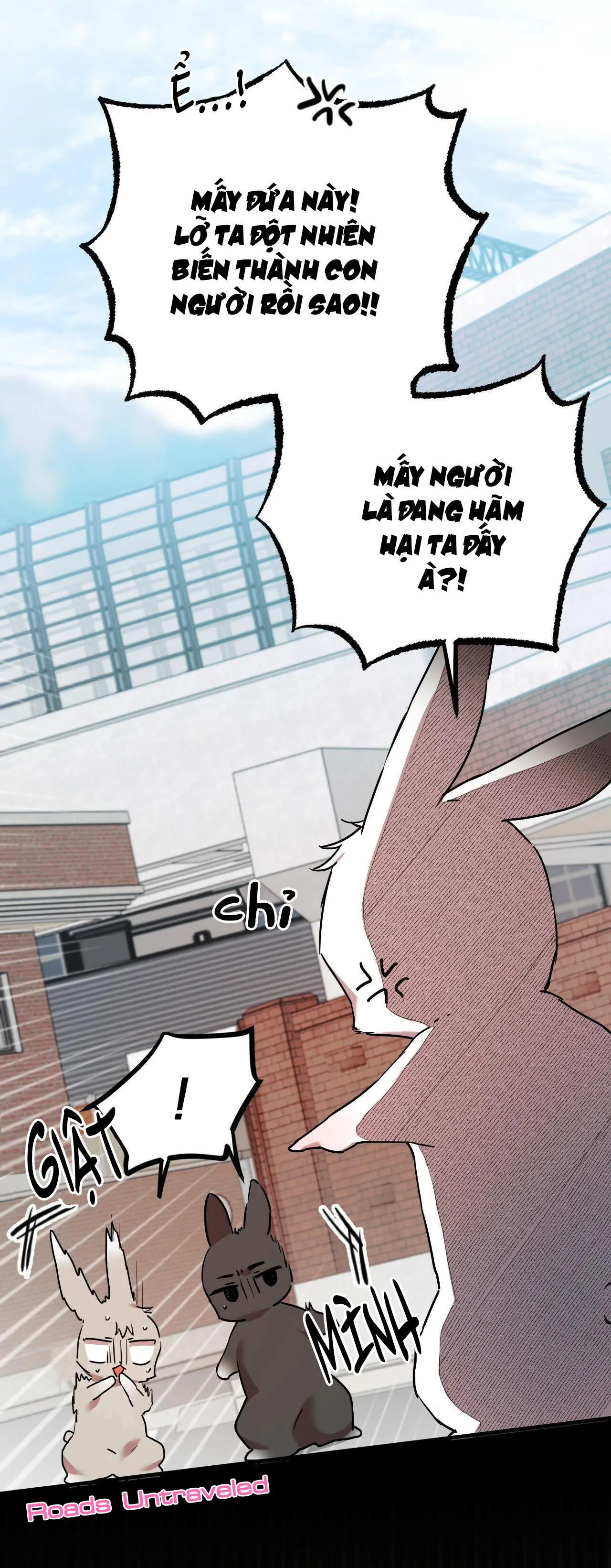 NHỮNG CHÚ THỎ CỦA HABIBI Chapter 3 Trang 61