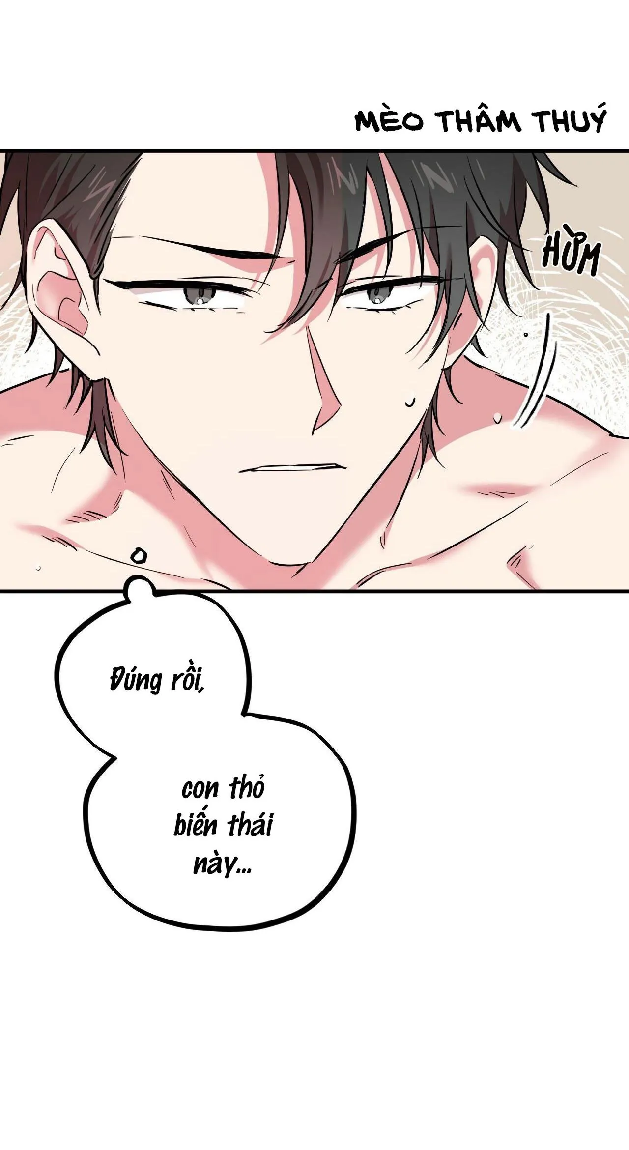 NHỮNG CHÚ THỎ CỦA HABIBI Chapter 4 Trang 8