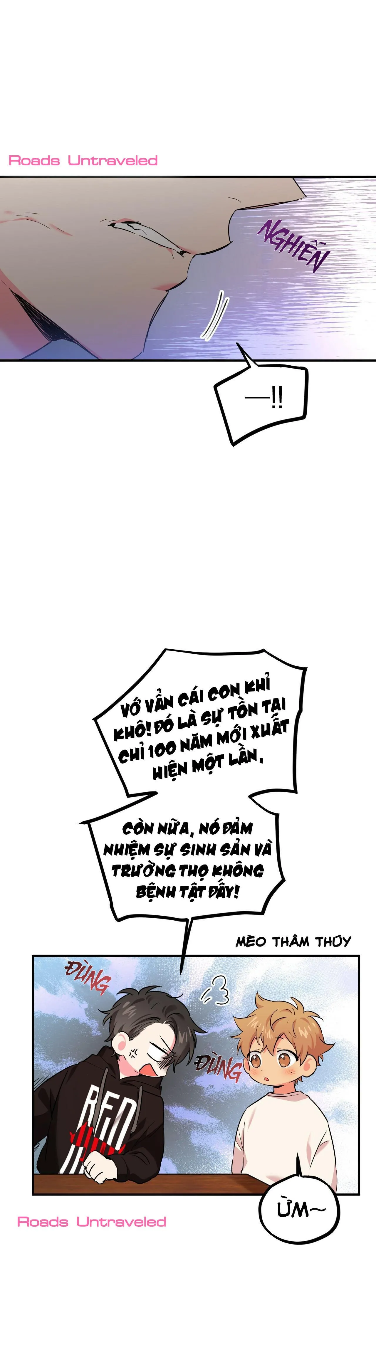 NHỮNG CHÚ THỎ CỦA HABIBI Chapter 5 Trang 23